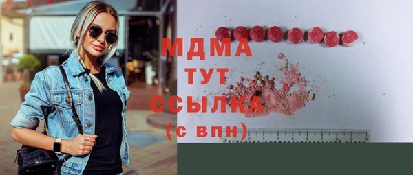 твердый Гусев