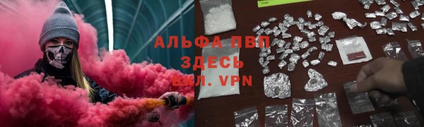 твердый Гусев
