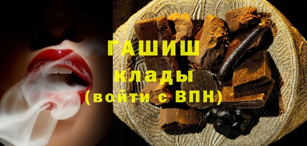 твердый Гусев