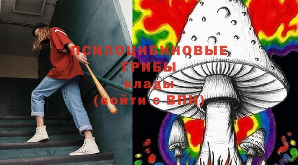 твердый Гусев