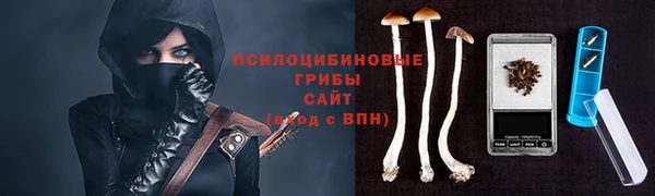 МДПВ Гусиноозёрск