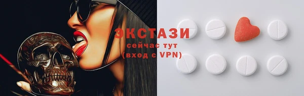 твердый Гусев