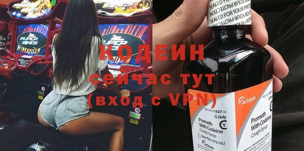 твердый Гусев