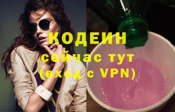 твердый Гусев