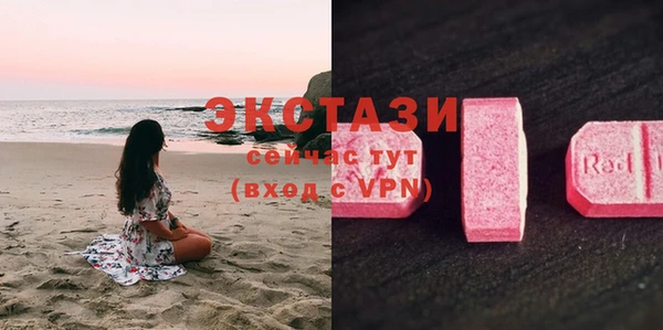 твердый Гусев