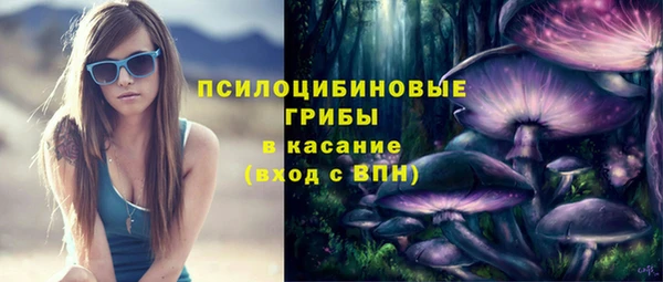 твердый Гусев