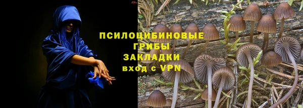 МДПВ Гусиноозёрск