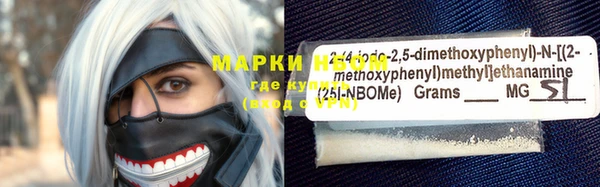твердый Гусев