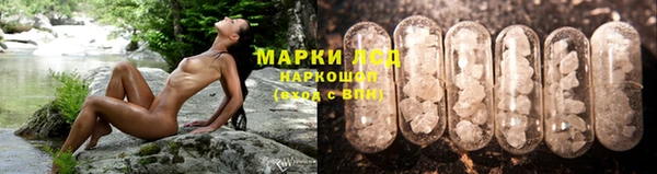 твердый Гусев