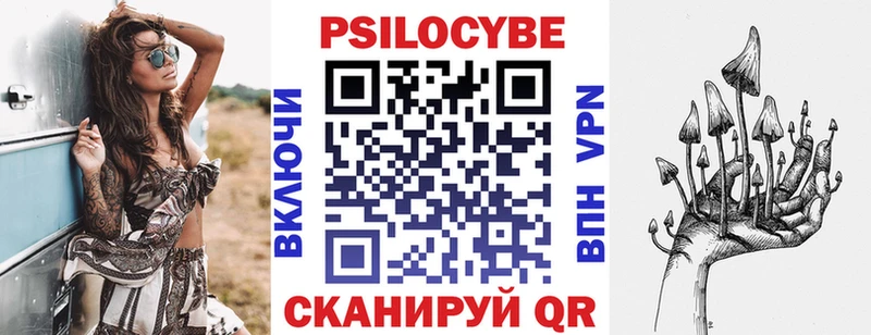 Псилоцибиновые грибы GOLDEN TEACHER  Купить закладки  Лосино-Петровский 